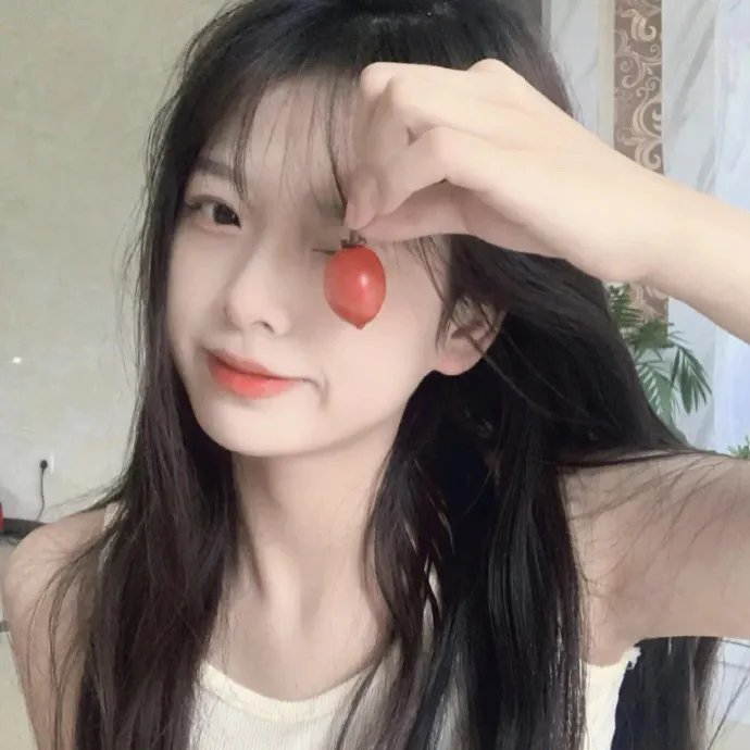 梅子鸡之味